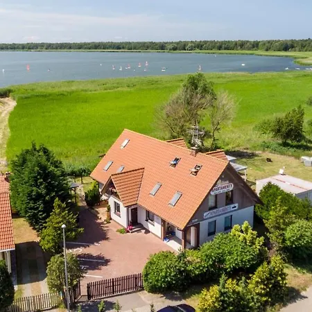 Prima * Дзивновек