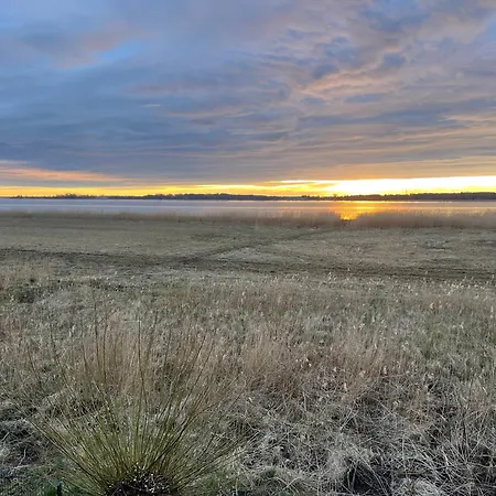 Prima Daire Dziwnówek