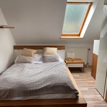 Prima * Дзивновек