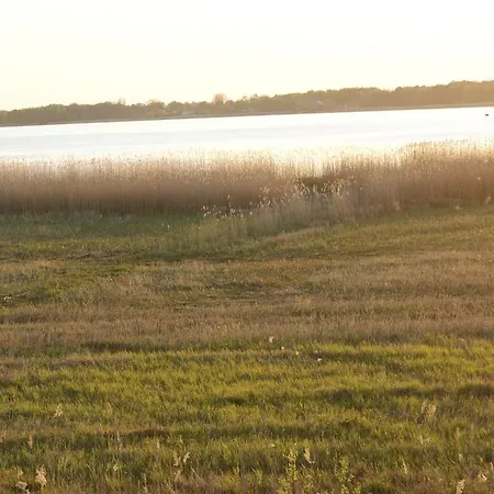 Prima Дзивновек