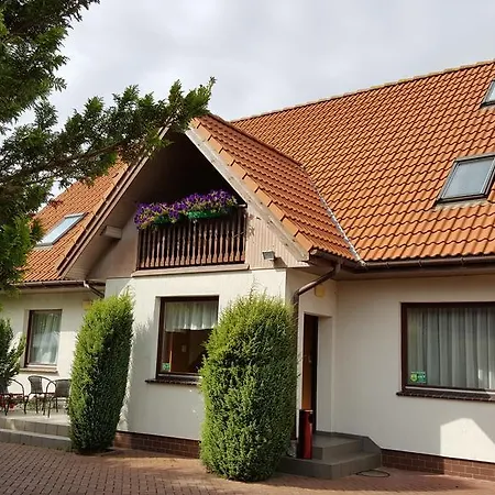 Prima Дзивновек