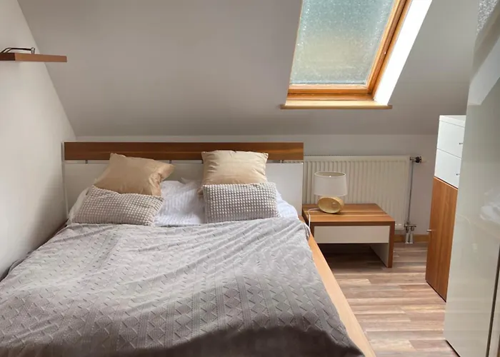 Prima * 드지우노웨크