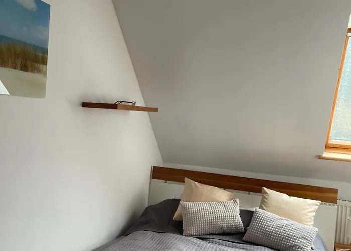 Prima 드지우노웨크