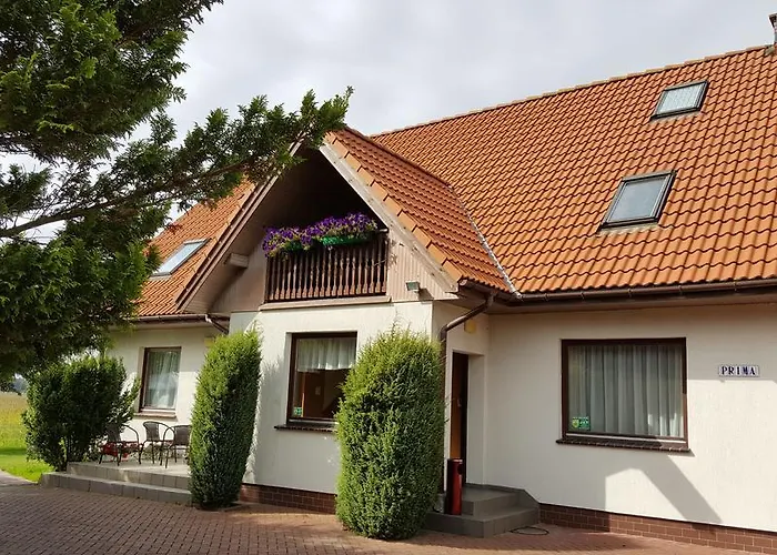 Prima 드지우노웨크